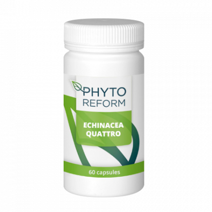 Phytoreform Echinacea Quattro vitaminen