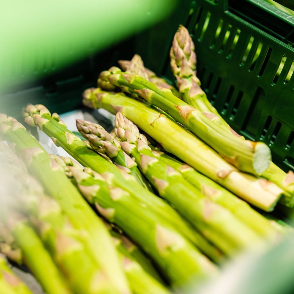Duurzaam in food en non-food