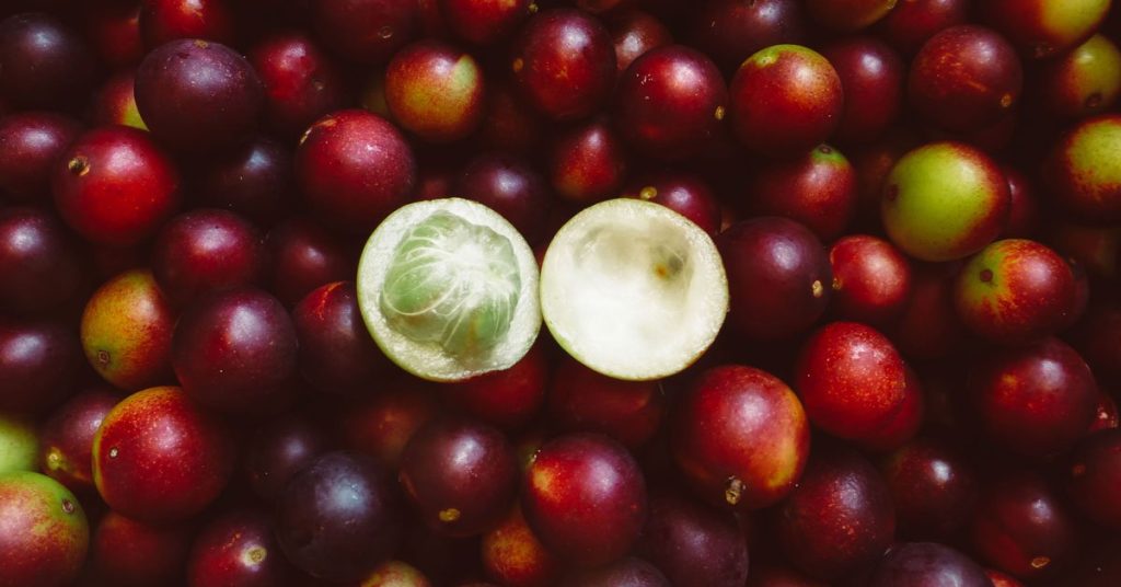 Natuurhuis Royal Green Camu camu superfoods