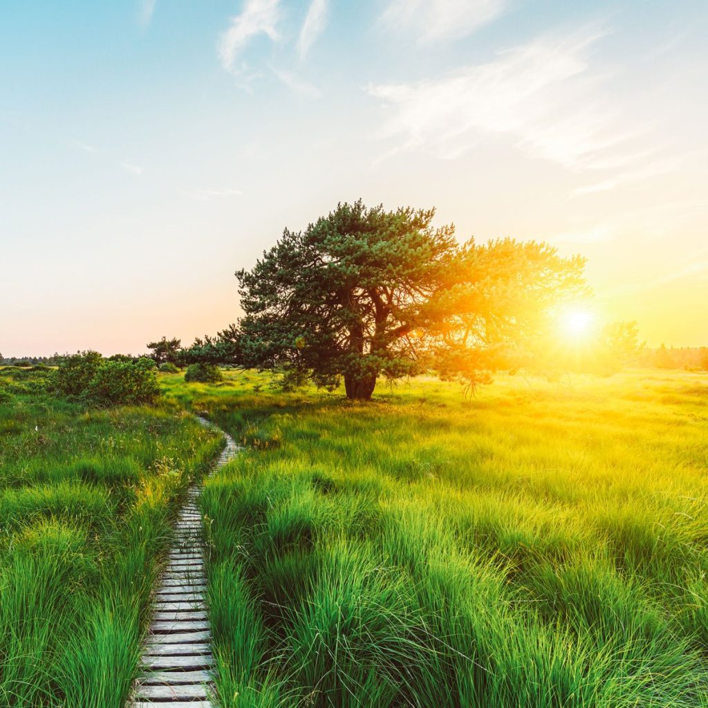 De Natuurhuis bucketlist voor de zomervakantie