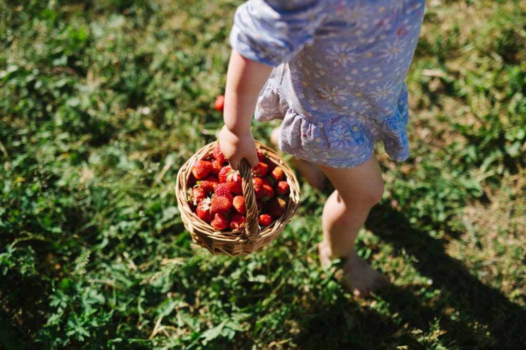 De weldaad van zomerfruit